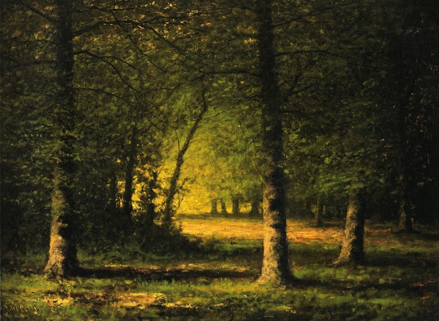  'Beech Trees,' by  Carl Christian Brenner, ca 1880 